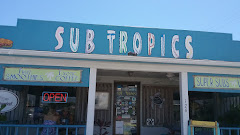 Sandwich near Sandpiper Motel